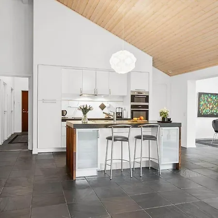 Feriehus Tv1700-albaek-magevej-56 Ålbæk
